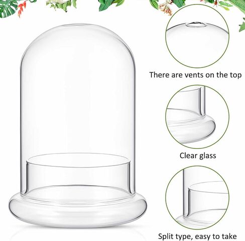 2 Pcs Glass Terrarium 5.9 x 7.9 Inch Glass Terrarium Planter Container Clear Glass Dome Cloche with Airhole and Base for Plant Flower Home Tabletop Display Centerpiece, Plants Not Included in Saudi Arabia