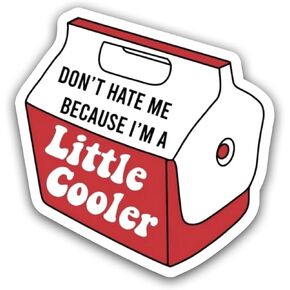 ملصق من الفينيل لا تكرهني لأنني أبرد قليلاً - 10.16 سم للسيارات والشاحنات والشاحنات وسيارات الدفع الرباعي ونافذة زجاجات المياه وأكواب القوارب وأجهزة الكمبيوتر المحمولة المضحكة in Kuwait