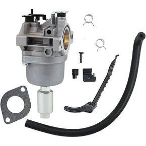 المكربن كارب يستبدل لنيكي 792060 G02705 792534 G02803 592224 G02556 592224 502556 6912-b 698620 795873 808891 699475 698944 793371 792554 795366 على محرك بريجز ستراتون بقوة 13.5 حصانًا - 21 حصانًا in Kuwait