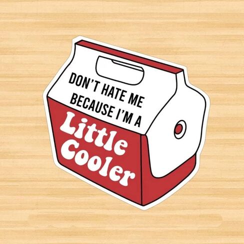 ملصق من الفينيل لا تكرهني لأنني أبرد قليلاً - 10.16 سم للسيارات والشاحنات والشاحنات وسيارات الدفع الرباعي ونافذة زجاجات المياه وأكواب القوارب وأجهزة الكمبيوتر المحمولة المضحكة in Kuwait