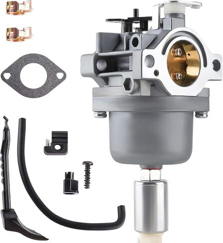 المكربن كارب يستبدل لنيكي 792060 G02705 792534 G02803 592224 G02556 592224 502556 6912-b 698620 795873 808891 699475 698944 793371 792554 795366 على محرك بريجز ستراتون بقوة 13.5 حصانًا - 21 حصانًا in Kuwait