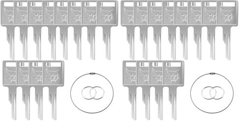 D250 12PCS Ignition Keys 6709527 6693241 A77313 307852A1 714602 Compatible with Loader Bobcat Skid Steer S100 S130 S150 A220 A300 T110 T140 T180 T190 T200 T250 T300 T320 T450 T550 in Saudi Arabia