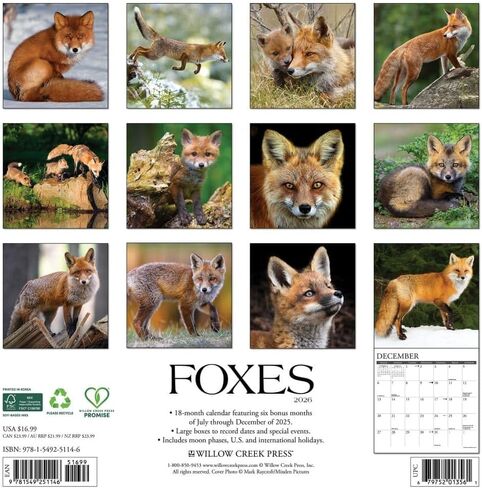 Willow Creek Press، تقويم حائط Foxes 2026، 12 بوصة × 12 بوصة، تقويم لمدة 18 شهرًا مع غلاف مثبت in Saudi Arabia