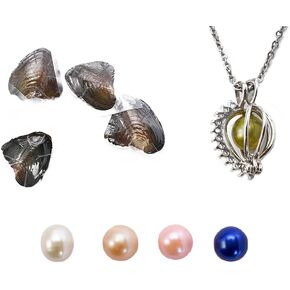 لؤلؤ المحار الطبيعي، لآلئ المياه العذبة البيضاوية المحار المستنبت، مجموعة صنع القلائد DIY من اللؤلؤ المحبب، تزيين الذكرى السنوية لصنع الهدايا (4 قطع/المجموعة، قلادة محارة) in Kuwait
