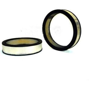 Air Filter for 1968-1969 Buick GS 350 in Kuwait