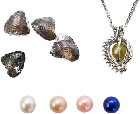لؤلؤ المحار الطبيعي، لآلئ المياه العذبة البيضاوية المحار المستنبت، مجموعة صنع القلائد DIY من اللؤلؤ المحبب، تزيين الذكرى السنوية لصنع الهدايا (4 قطع/المجموعة، قلادة محارة) in Kuwait