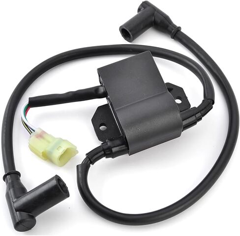 420965591 Ignition Coil Assy for Ski-Doo Formula MXZ 440 S380 SL500 F/C 583 670 L/C 121 Safari L LE 377 LX LXE 447 F/C Rally 503 in Saudi Arabia