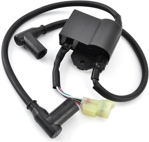 420965591 Ignition Coil Assy for Ski-Doo Formula MXZ 440 S380 SL500 F/C 583 670 L/C 121 Safari L LE 377 LX LXE 447 F/C Rally 503 in Saudi Arabia