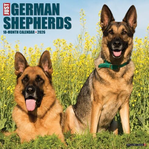 Willow Creek Press، تقويم حائط Just German Shepherds 2026، 12 بوصة × 12 بوصة، تقويم 18 شهرًا مع غلاف مثبت in Saudi Arabia