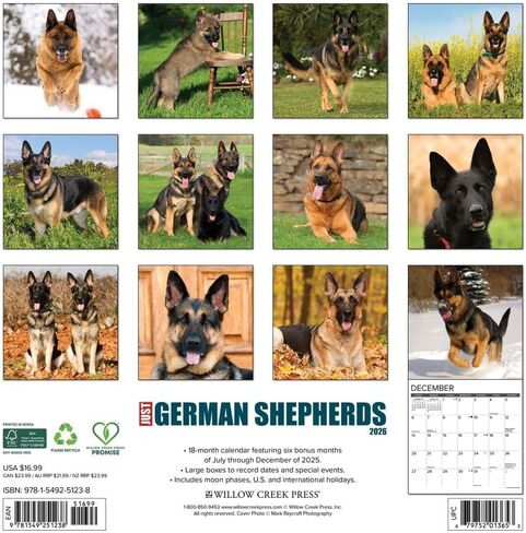 Willow Creek Press، تقويم حائط Just German Shepherds 2026، 12 بوصة × 12 بوصة، تقويم 18 شهرًا مع غلاف مثبت in Saudi Arabia