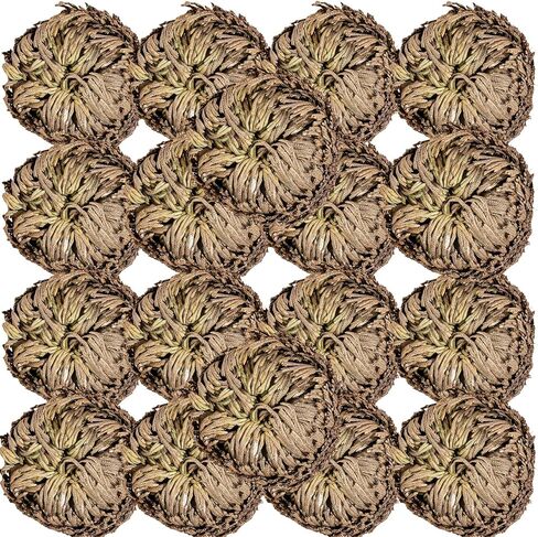 14-Pack Dried Rose of Jericho, Selaginella Resurrection Grass, Dried Fern Scale Leaf Prayer Plant, Symbol of Abundance and Prosperity, Ideal for Home Decoration and Spiritual Healing in Saudi Arabia