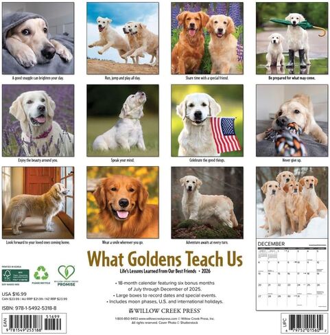 مطبعة ويلو كريك، تقويم الحائط What Goldens Teach Us 2026، 12 بوصة × 12 بوصة، تقويم 18 شهرًا مع غلاف مثبت in Saudi Arabia