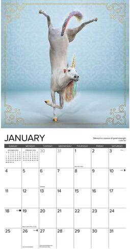 Willow Creek Press, Unicorn Yoga 2026 Wall Calendar, 12'' X 12'', 18-Month Calendar with Stapled Binding in Saudi Arabia