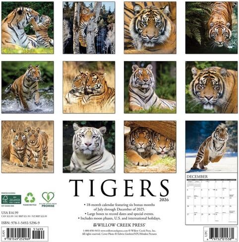 Willow Creek Press، تقويم حائط Tigers 2026، 12 بوصة × 12 بوصة، تقويم لمدة 18 شهرًا مع غلاف مثبت in Saudi Arabia