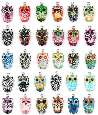 Generic 30 Pieces Owl Charms for Jewelry Making, Colorful Metal Owl Pendants, Cute Animal Jewellery Making Supplies in Saudi Arabia