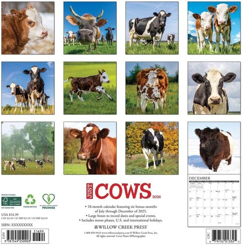Willow Creek Press, Just Cows 2026 Wall Calendar, 12'' X 12'', 18-Month Calendar with Stapled Binding in Saudi Arabia