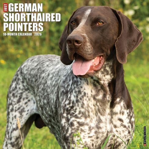 Willow Creek Press، تقويم حائط Just German Shorthaired Pointers 2026، 12 بوصة × 12 بوصة، تقويم 18 شهرًا مع غلاف مثبت in Saudi Arabia