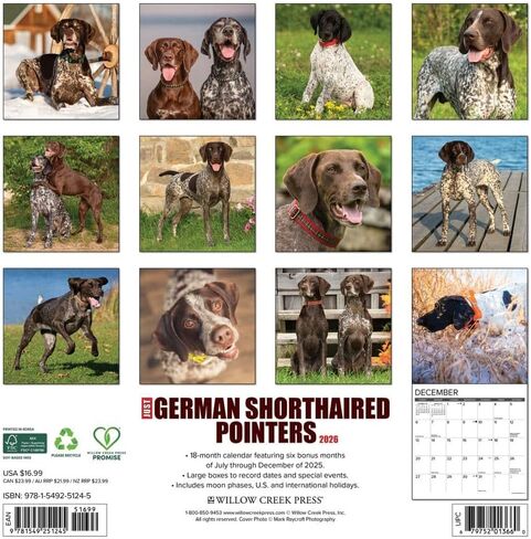 Willow Creek Press، تقويم حائط Just German Shorthaired Pointers 2026، 12 بوصة × 12 بوصة، تقويم 18 شهرًا مع غلاف مثبت in Saudi Arabia