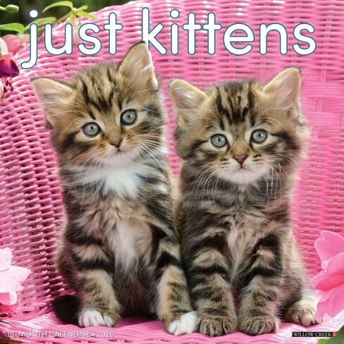 Willow Creek Press، تقويم حائط Just Kittens 2026، 12 بوصة × 12 بوصة، تقويم 18 شهرًا مع غلاف مثبت in Saudi Arabia