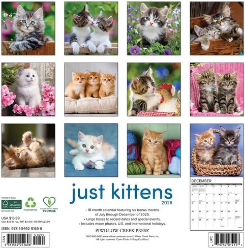 Willow Creek Press، تقويم حائط Just Kittens 2026، 12 بوصة × 12 بوصة، تقويم 18 شهرًا مع غلاف مثبت in Saudi Arabia