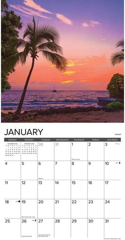 Willow Creek Press, Ah Beach 2026 Wall Calendar, 12'' X 12'', 18-Month Calendar with Stapled Binding in Saudi Arabia