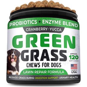 علاجات استعادة العشب من StrellaLab للكلاب - بروبيوتيك لإصلاح تبول الكلاب في الحديقة + إنزيمات هضمية، التوت البري - معادل بول الكلاب لبقع حرق العشب - مكملات الصحة والعافية للكلاب in Kuwait