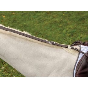 Shires Avignon Daisy REIN