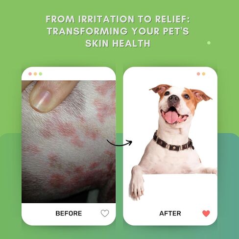 VoilaVe Pure Hypochlorous Acid Spray for Dogs, Cats | Pet Spray for Itchy, Irritated Skin, Allergy, Rashes | Supports Hydration, and Reduce Odor - 16 Oz Large Size in Saudi Arabia