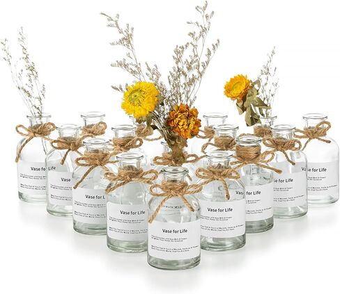 مزهريات زجاجية صغيرة برعم من الزجاج: مزهرية زهرة صغيرة شفافة مجموعة كبيرة من 16 مزهرية بوهو للديكور المزهريات الزخرفية اللطيفة لزجاجات الزهور قطع مركزية لطاولات الزفاف ديكورات غرفة المعيشة المنزلية in Kuwait