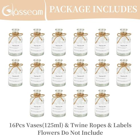 مزهريات زجاجية صغيرة برعم من الزجاج: مزهرية زهرة صغيرة شفافة مجموعة كبيرة من 16 مزهرية بوهو للديكور المزهريات الزخرفية اللطيفة لزجاجات الزهور قطع مركزية لطاولات الزفاف ديكورات غرفة المعيشة المنزلية in Kuwait