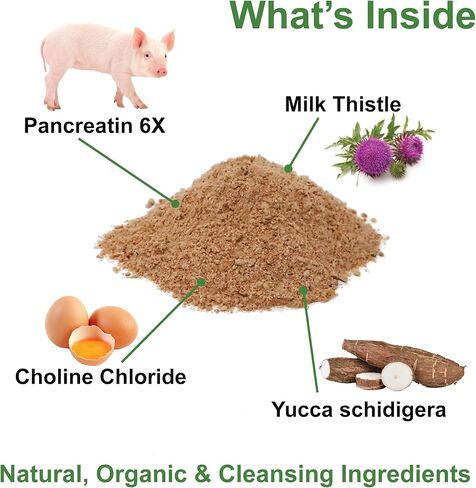Dogzymes Pancreas Support (8 Ounce) in Saudi Arabia