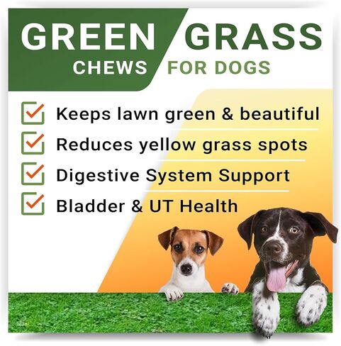 علاجات استعادة العشب من StrellaLab للكلاب - بروبيوتيك لإصلاح تبول الكلاب في الحديقة + إنزيمات هضمية، التوت البري - معادل بول الكلاب لبقع حرق العشب - مكملات الصحة والعافية للكلاب in Kuwait