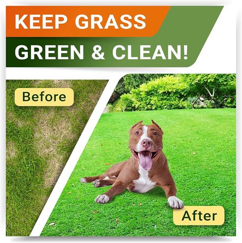 علاجات استعادة العشب من StrellaLab للكلاب - بروبيوتيك لإصلاح تبول الكلاب في الحديقة + إنزيمات هضمية، التوت البري - معادل بول الكلاب لبقع حرق العشب - مكملات الصحة والعافية للكلاب in Kuwait