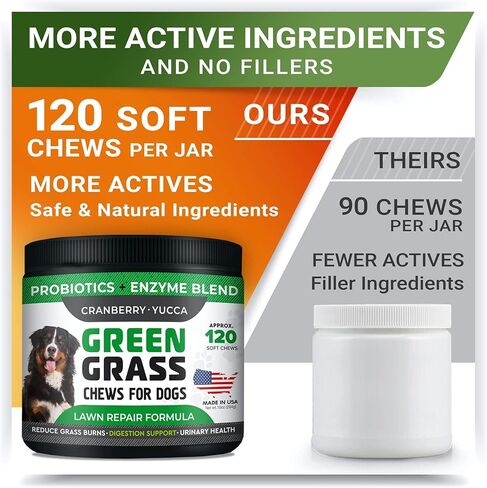 علاجات استعادة العشب من StrellaLab للكلاب - بروبيوتيك لإصلاح تبول الكلاب في الحديقة + إنزيمات هضمية، التوت البري - معادل بول الكلاب لبقع حرق العشب - مكملات الصحة والعافية للكلاب in Kuwait