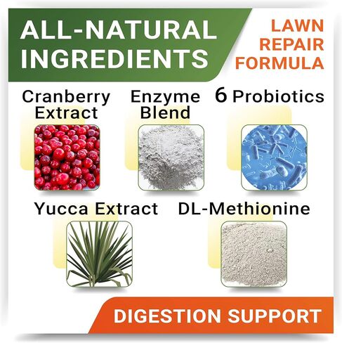 علاجات استعادة العشب من StrellaLab للكلاب - بروبيوتيك لإصلاح تبول الكلاب في الحديقة + إنزيمات هضمية، التوت البري - معادل بول الكلاب لبقع حرق العشب - مكملات الصحة والعافية للكلاب in Kuwait