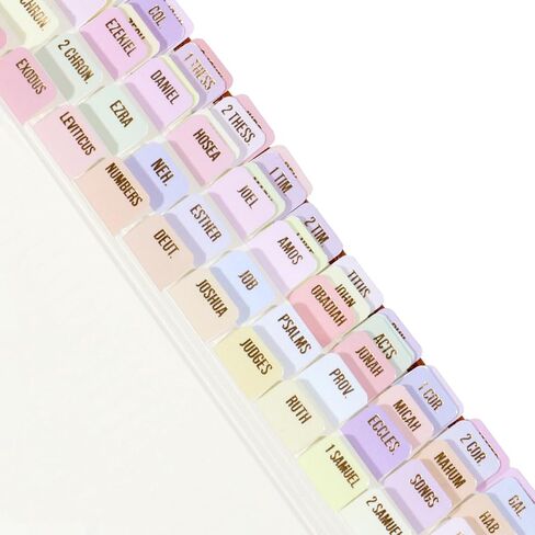 Idyllic Grace - Mini Bible Tabs, Rose Gold Foil Lettering, Journaling, Small Bibles, Study Tool, 90 Tabs, Old and New Testament, Christian, Catholic, Apocrypha, Index Tabs, Glossy Laminated - Elevated in Saudi Arabia