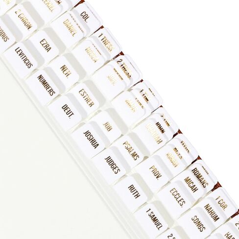 Idyllic Grace - Mini Bible Tabs, Rose Gold Foil Lettering, Journaling, Small Bibles, Study Tool, 90 Tabs, Old and New Testament, Christian, Catholic, Apocrypha, Index Tabs, Glossy Laminated - Elevated in Saudi Arabia