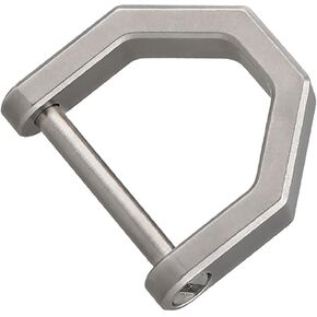 التيتانيوم D شكل حلقة رئيسية كيرينغ مع المسمار تكبل المفاتيح أداة مفتاح السيارة D مشبك لمفتاح فوب in Kuwait