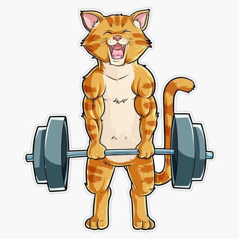مغناطيس القط Deadlift رفع الأثقال تي شيرت اللياقة البدنية الصالة الرياضية رفع الأوزان المحملة الهدايا المغناطيسي ملصق فينيل ملصق مائي المغناطيس 5" in Kuwait