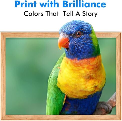 802XL C/M/Y Ink Cartridges Remanufactured for epson 802 Ink cartridges Combo Pack T802 802XL Work with Workforce Pro WF-4720, WF-4730, WF-4734, WF-4740 (C/M/Y) in Kuwait