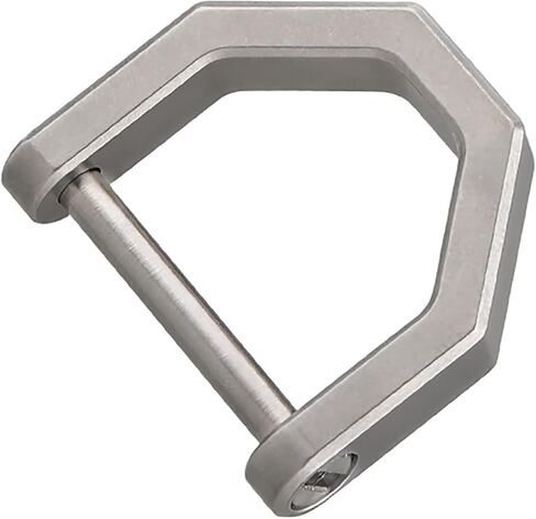 التيتانيوم D شكل حلقة رئيسية كيرينغ مع المسمار تكبل المفاتيح أداة مفتاح السيارة D مشبك لمفتاح فوب in Kuwait