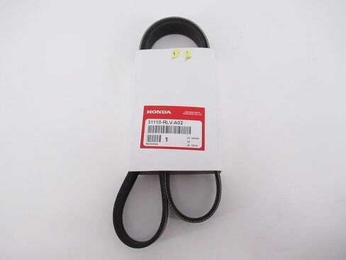 Serpentine Belt in Saudi Arabia
