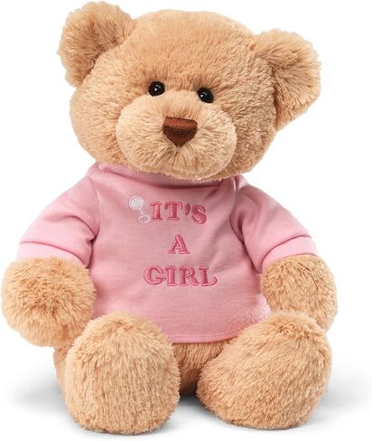 GUND “I’m The Big Brother" Message Bear with Blue T-Shirt, Teddy Bear Stuffed Animal for Ages 1 and Up, Brown, 12" in Kuwait