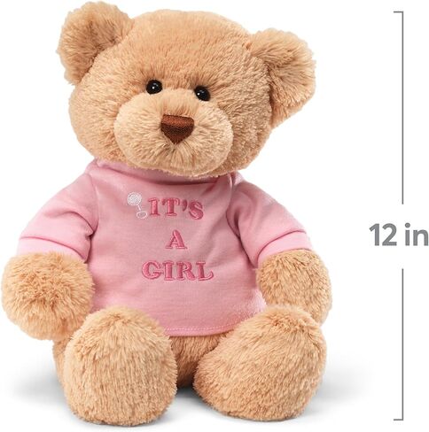 GUND “I’m The Big Brother" Message Bear with Blue T-Shirt, Teddy Bear Stuffed Animal for Ages 1 and Up, Brown, 12" in Kuwait