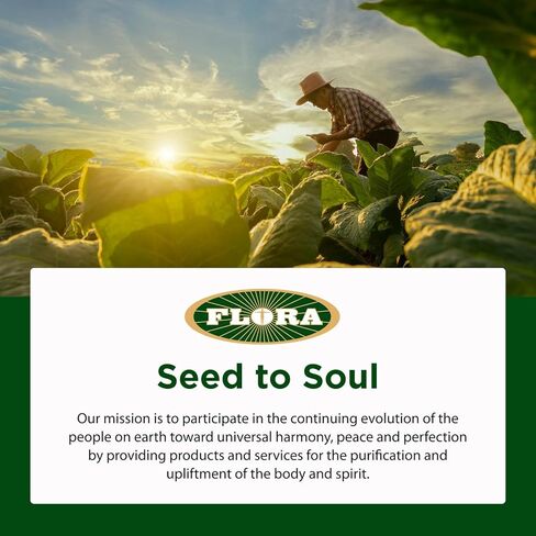 Flora Health Flor-Essence with Turkey Tail & Turmeric, Rich in Polysaccharides, 35+ Phenolic Compounds with Antioxidants and Immunity Support, 17-fl. oz. Glass Bottle in Kuwait