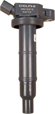 Delphi GN10313 Ignition Coil in Saudi Arabia