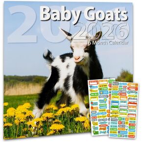 Baby Goats Calendar 2026 - Deluxe 2026 Goats Baby Animal Wall Calendar Bundle with Over 100 Reminder Stickers (Animal Photography Gifts, Office Supplies) in Saudi Arabia