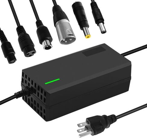 42V 5A Charger with 6-in-1 Plug for 36V Lithium Battery Such as Car Truck Lawn Mower Boat Marine Batteries (42V5A-(6-in-1 Plug)) in Saudi Arabia