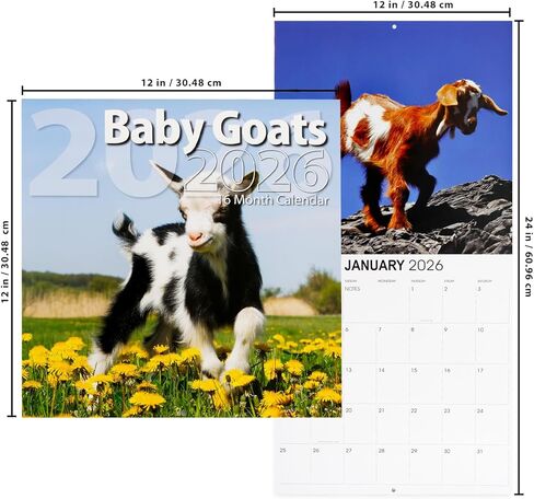 Baby Goats Calendar 2026 - Deluxe 2026 Goats Baby Animal Wall Calendar Bundle with Over 100 Reminder Stickers (Animal Photography Gifts, Office Supplies) in Saudi Arabia