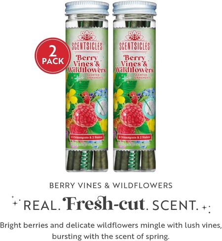 Scentsicles O Christmas Tree and Snowberry Pine Scented Christmas Ornaments with Hooks - 2 Pack (2 Bottles, 12 Sticks Total) in Kuwait